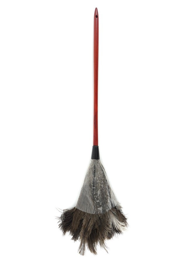 ZUCKER- Ostrich Feather Duster - Natural Ostrich Feathers with Wooden Handle - 24" - Image 2